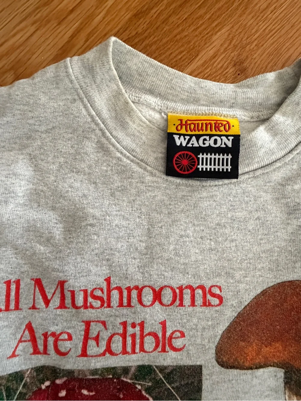 Online Ceramics Mushrooms Are Edible Medium Men’s Sweatshirt